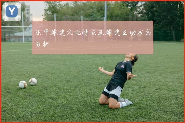 法甲球迷文化特点及球迷互动方式分析