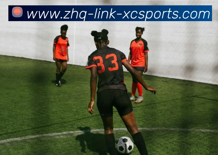 杏彩体育发展历程