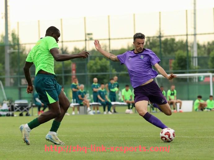 杏彩体育-世俱杯比赛历史体能消耗数据与球员负荷评估